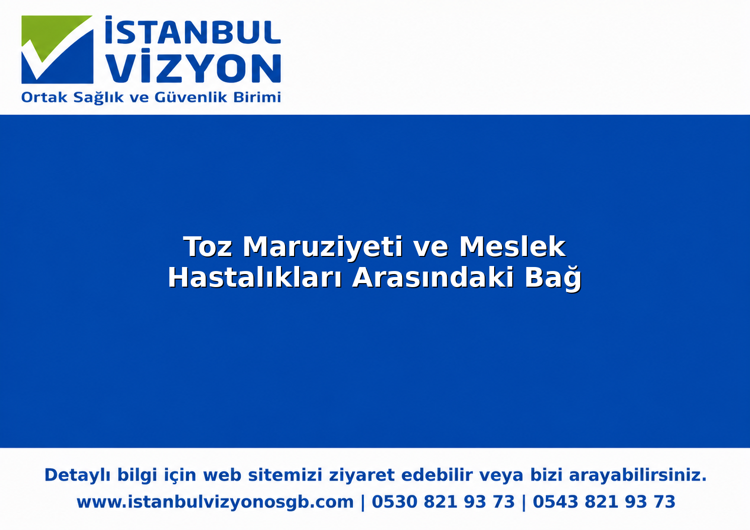 Toz Maruziyeti ve Meslek Hastalıkları Arasındaki Bağ